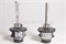 Ксеноновая лампа D4S CNL 4300K, 1шт (Корея) 684